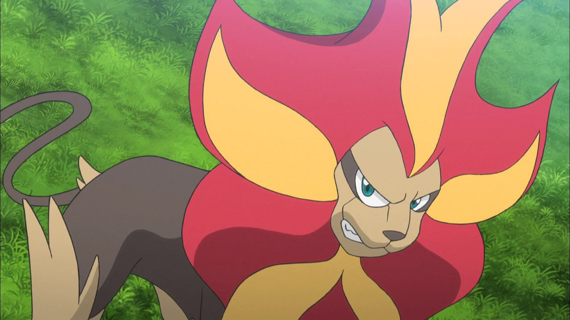 Pyroar in the anime (Image via TPC)